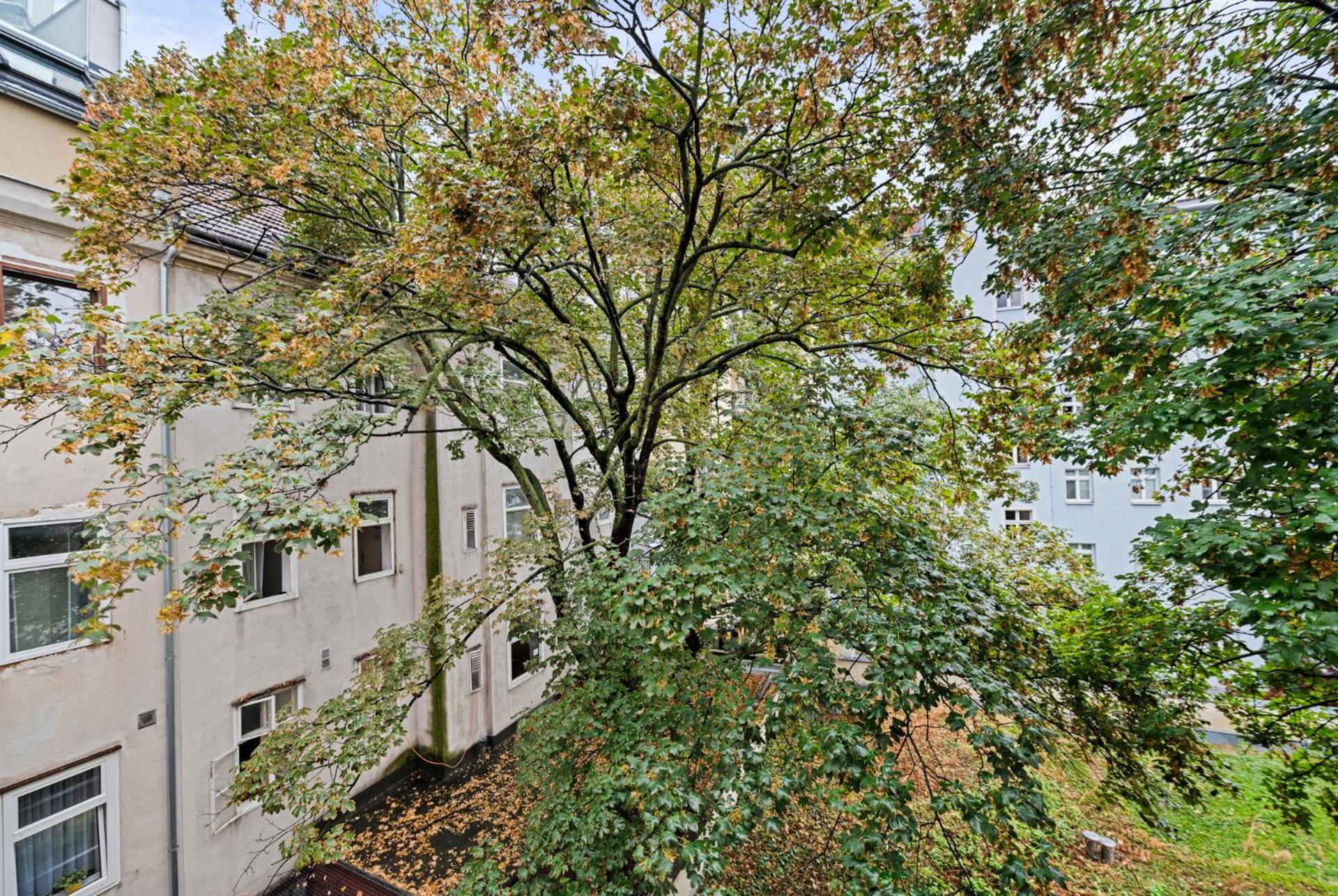 Cozy, Generous City Apartment - 10 Min To City-Centre - Contactless 24H Check-In 비엔나 외부 사진